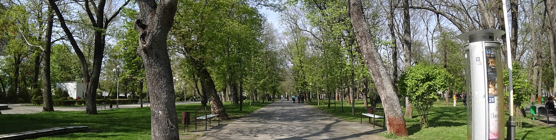 Городской сад в Краснодаре, фото, обзор, как добраться |  Достопримечательности Краснодарского края